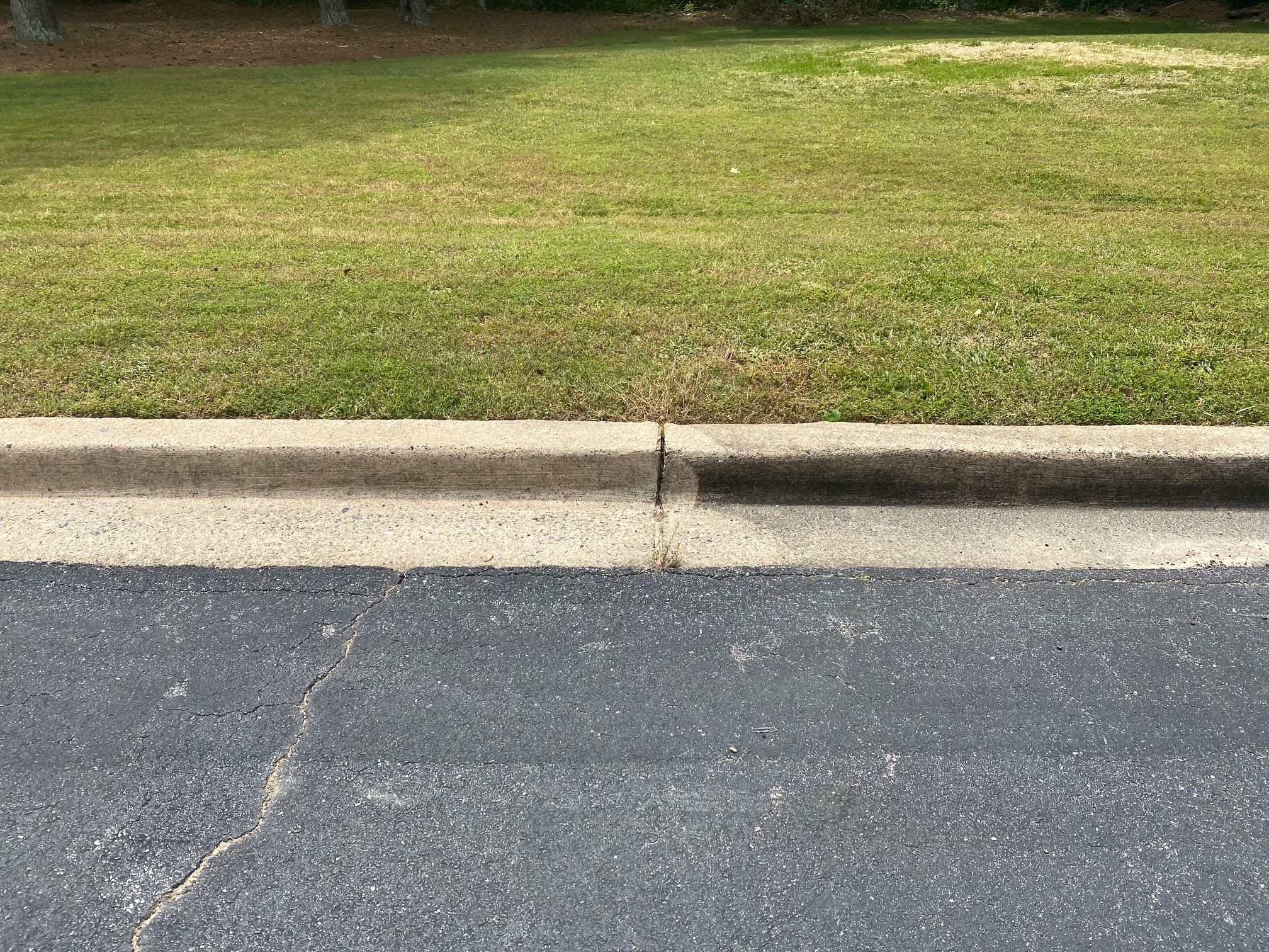 Premier Pro Wash exterior cleaning project in North Georgia